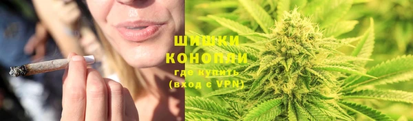 PSILOCYBIN Краснослободск