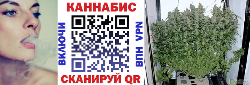 Конопля Ganja  Шумиха 